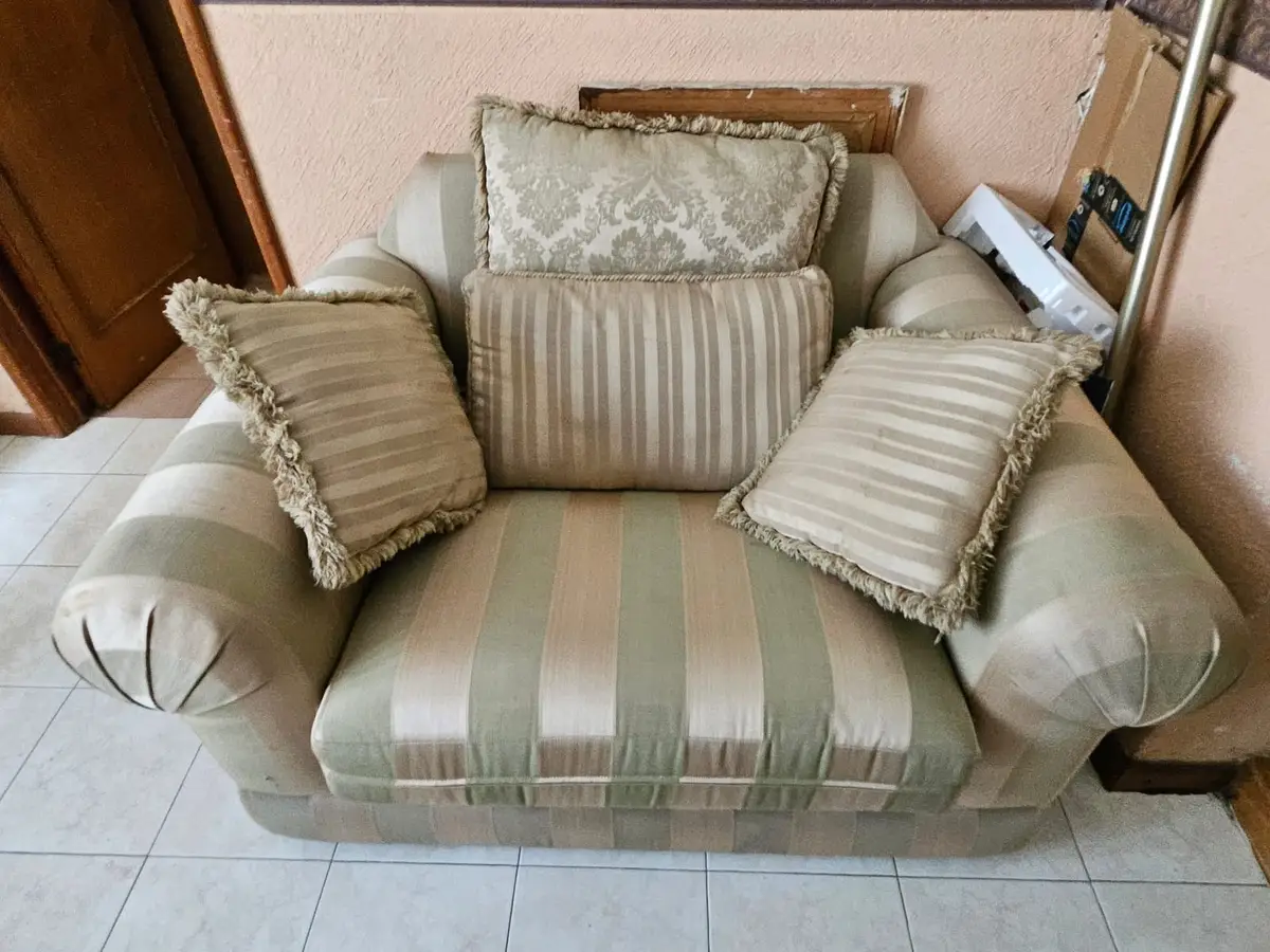 Juego de sala: sofá y sillón con cojines — foto 19
