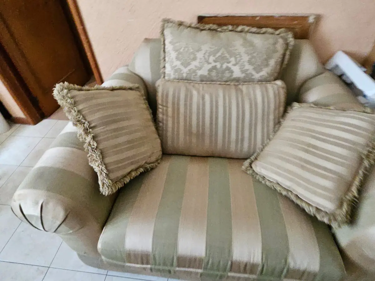 Juego de sala: sofá y sillón con cojines — foto 18