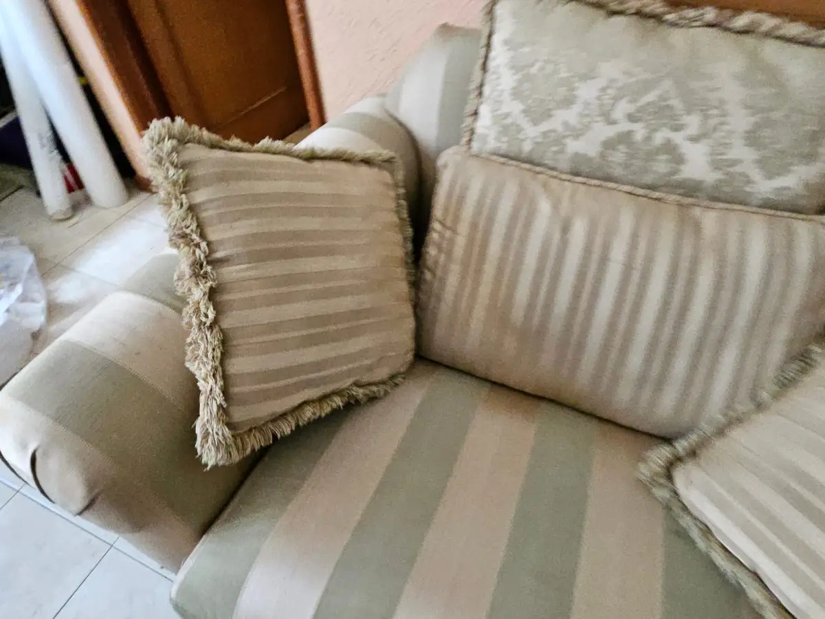 Juego de sala: sofá y sillón con cojines — foto 20