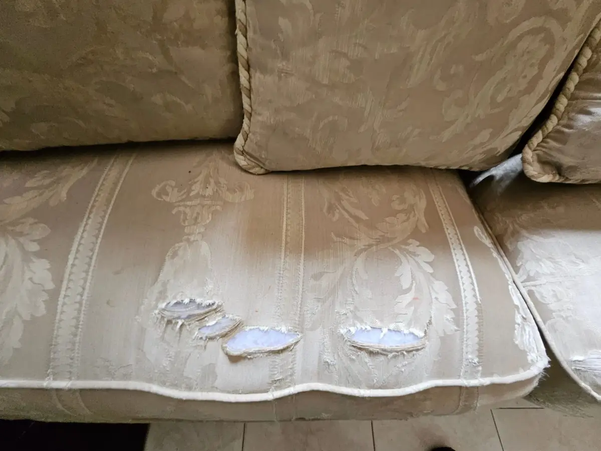 Juego de sala: sofá y sillón con cojines — foto 10