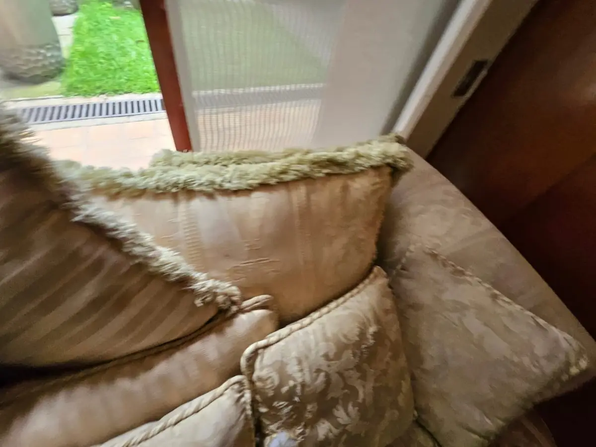 Juego de sala: sofá y sillón con cojines — foto 13