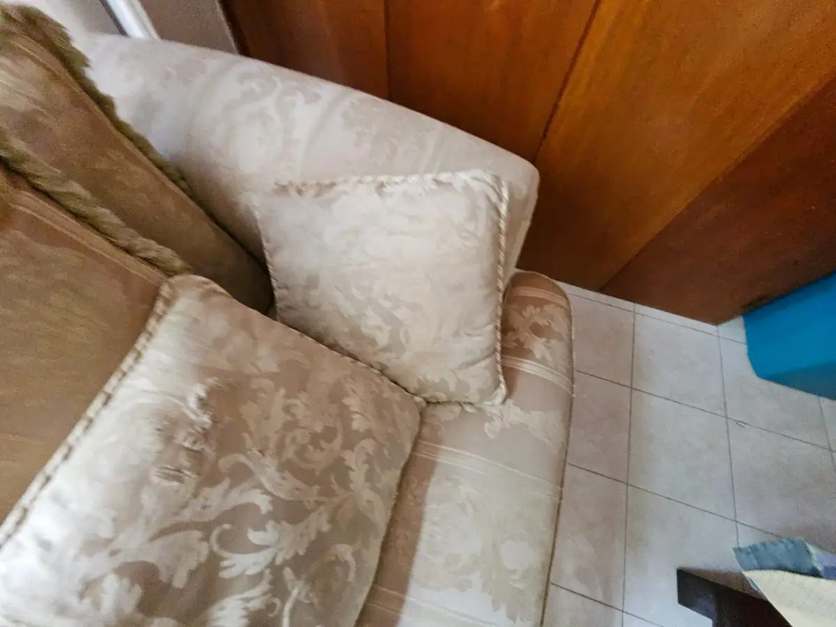 Juego de sala: sofá y sillón con cojines — foto 16